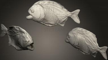 3D model Piranha (STL)